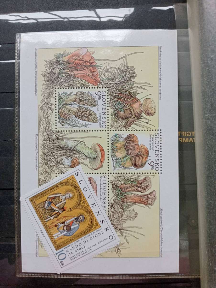 GREAT CLEAN STOCK BOOK UMM, THEMATICS and more