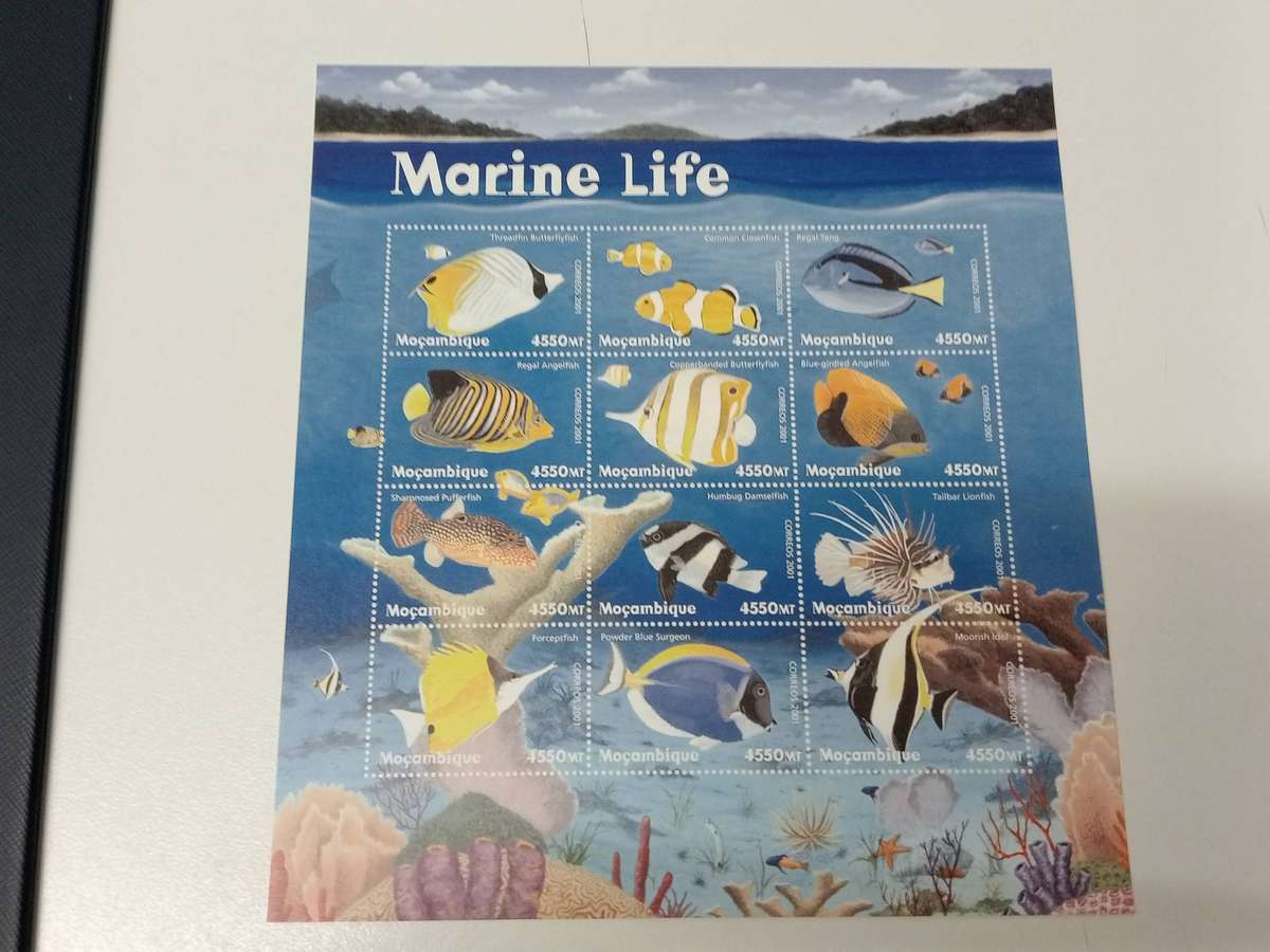 VERY SCARCE FISH SHEETS- ALL SUPERB UMM