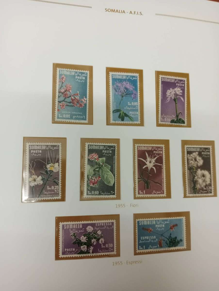 SOMALIA- SETS  + EXPRESS FLOWERS  SUPERB UMM