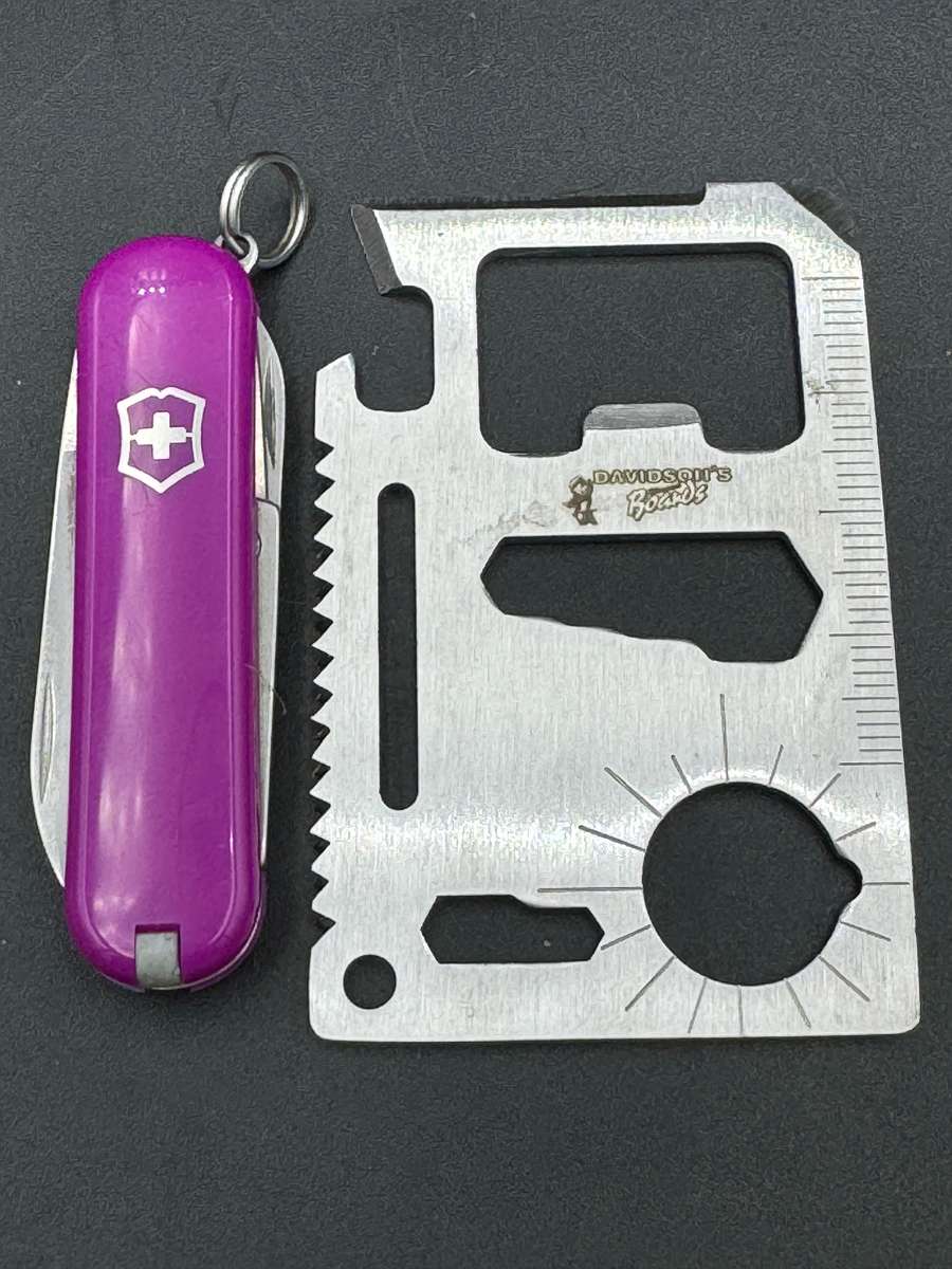 Victorinox Classic Colours Tasty Grape 58mm