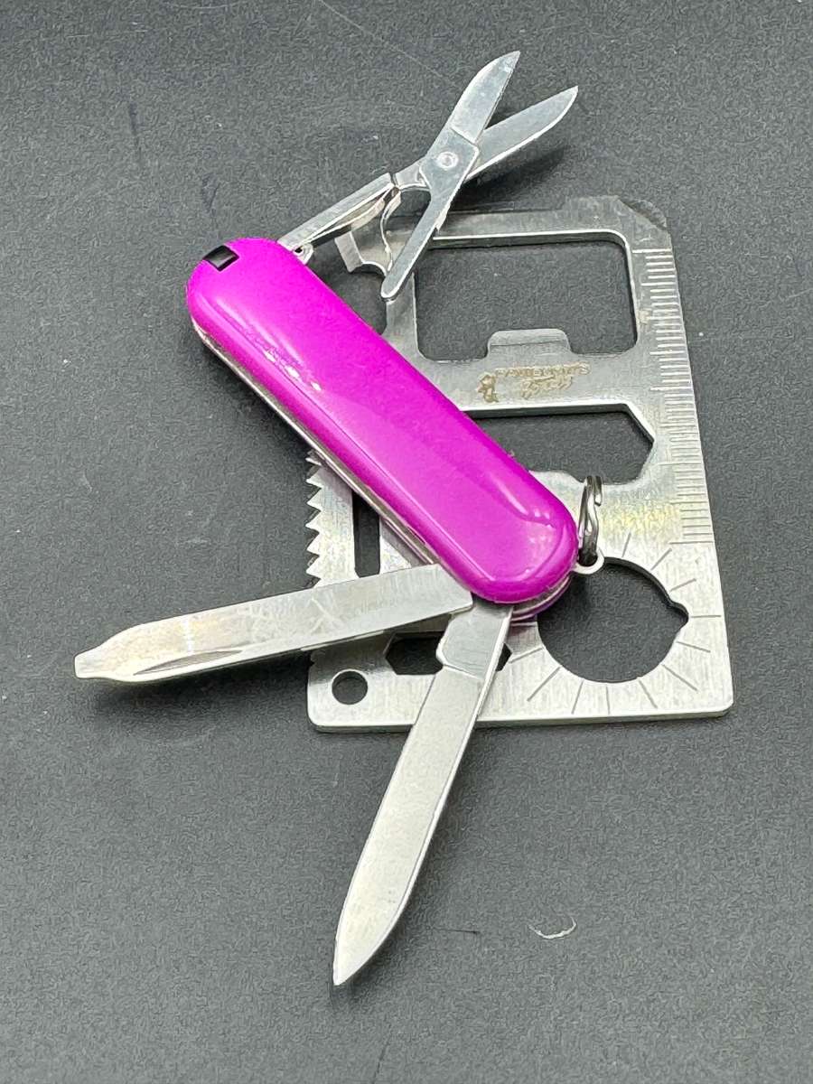 Victorinox Classic Colours Tasty Grape 58mm