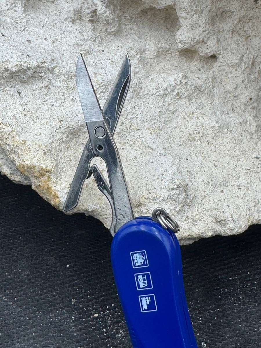 Wenger Evo 65mm