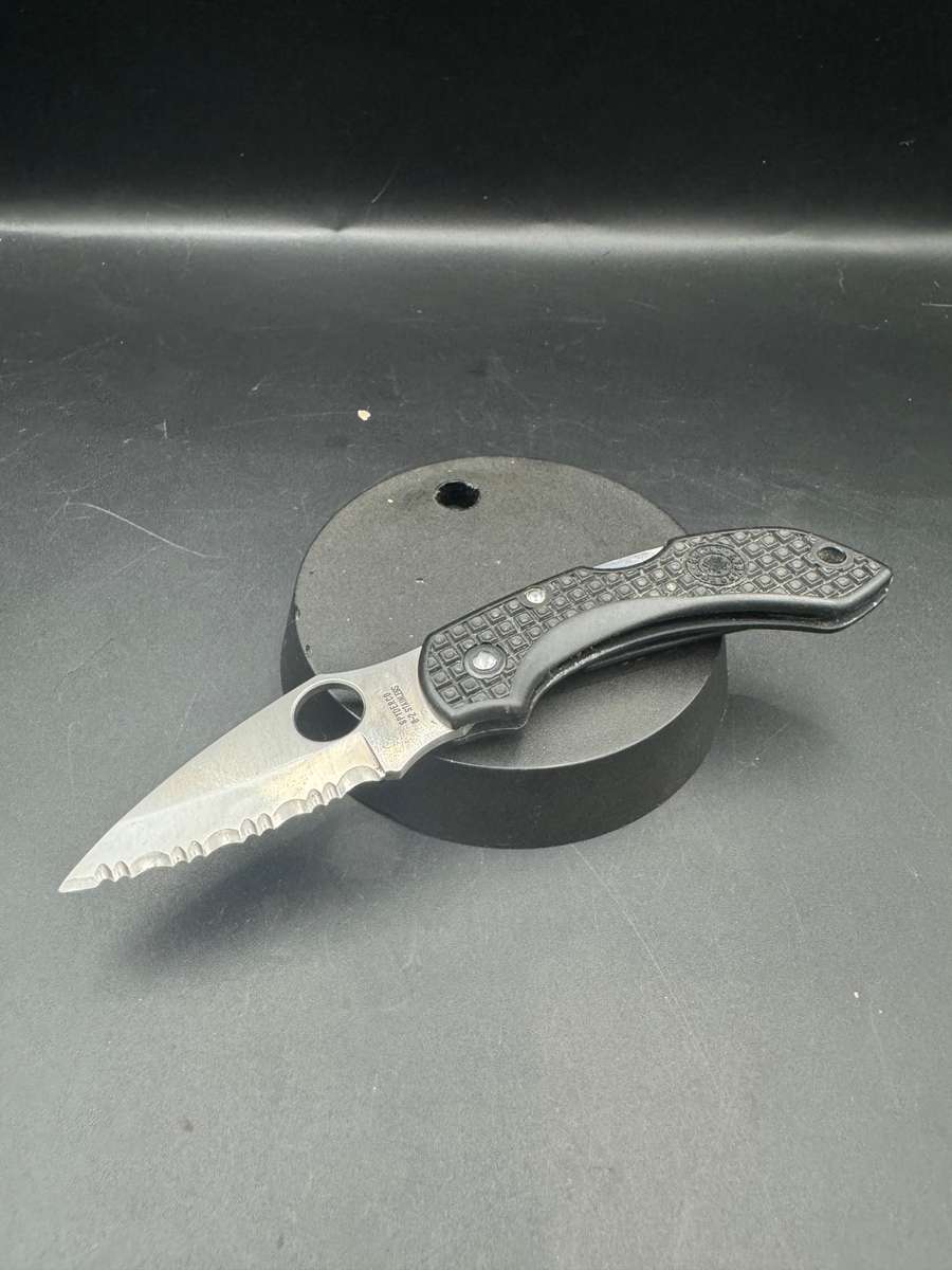 Spyderco Dragonfly Clipit