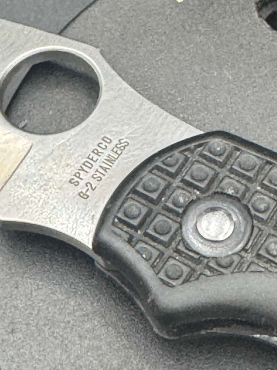 Spyderco Dragonfly Clipit