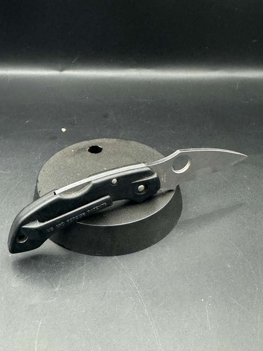 Spyderco Dragonfly Clipit