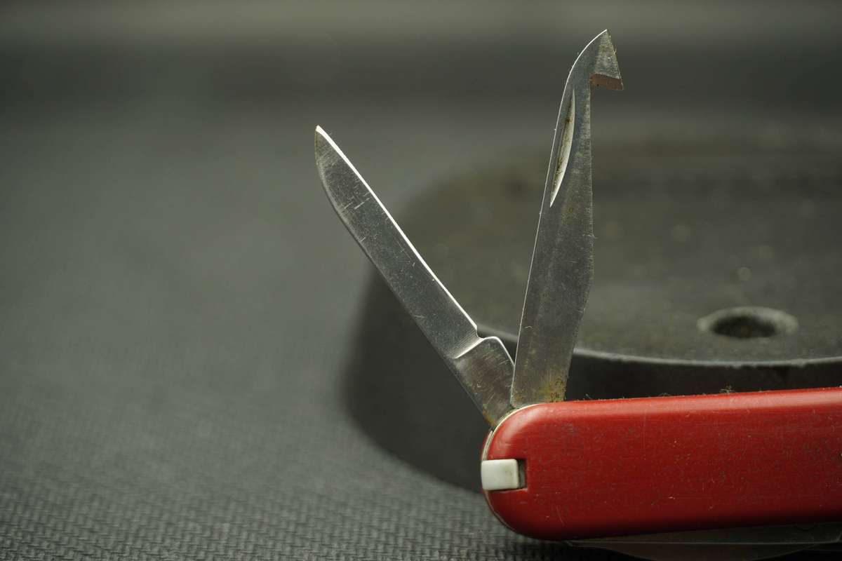Victorinox Mini Champ