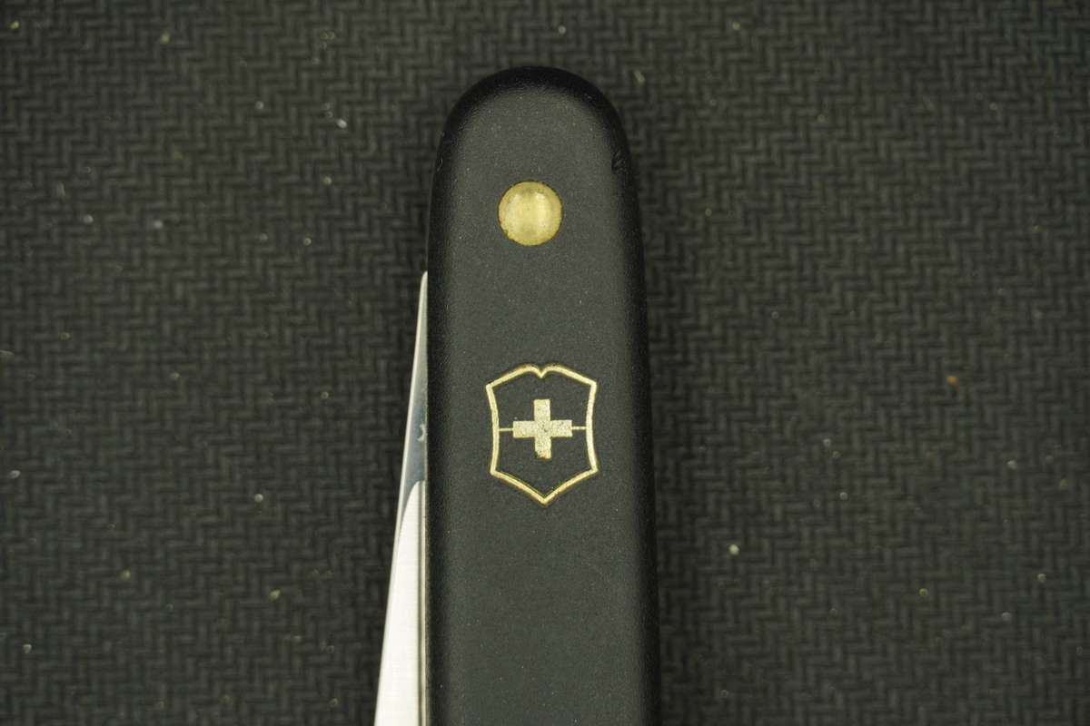 Victorinox Biltong Knife