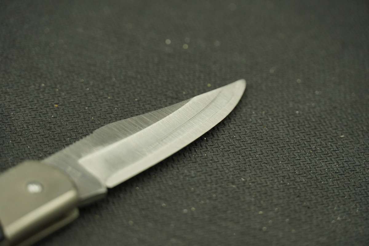 Kershaw Coral Creek 3115
