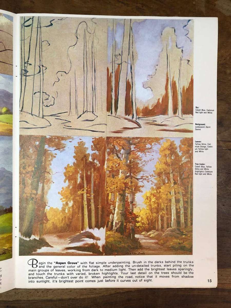 32 Painting Lessons in Oil - Bela and Jan Bodo (Paperback)