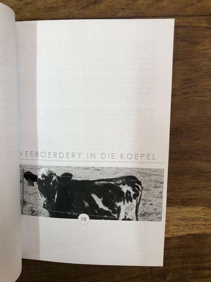 n Lewe in die Koepel - Kobus Du Pisani (Paperback)