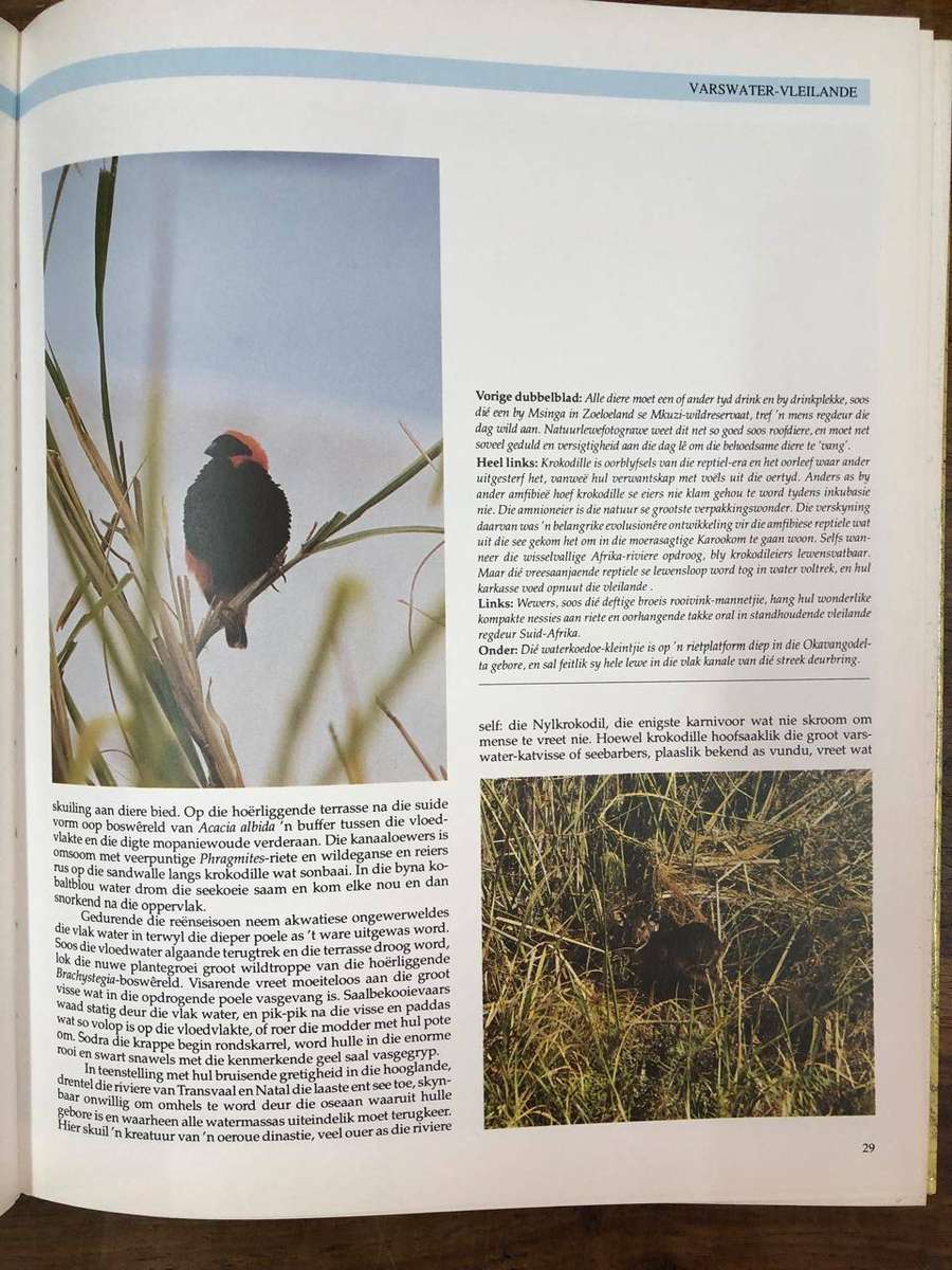 Natuurerfenis van Suider-Afrika - David Bristow (Hardcover with no dj)