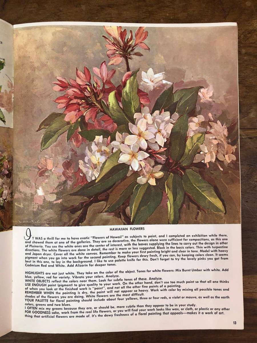 Paints in Oils - Nell Walker Warner (Paperback)