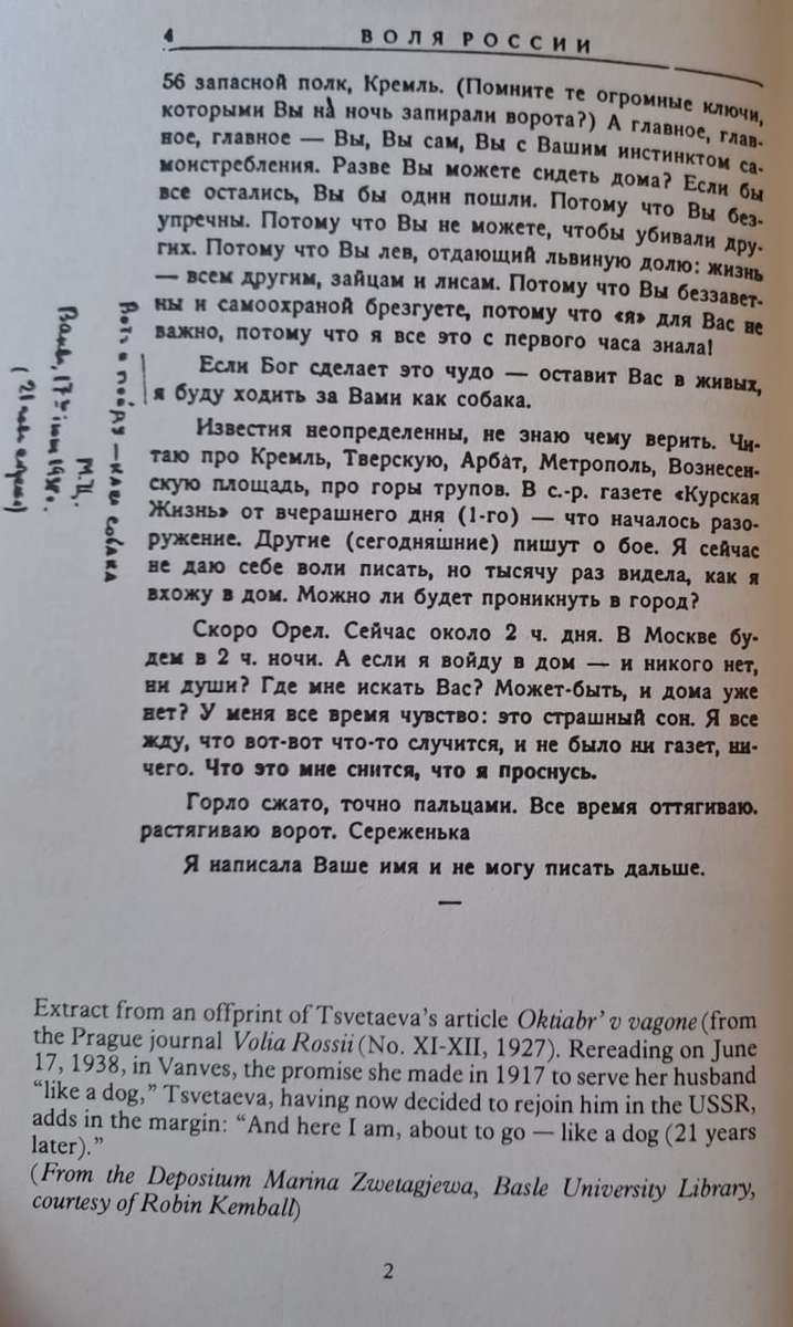 A Captive spirit: Selected Prose - Marina Tsvetaeva (paperback)