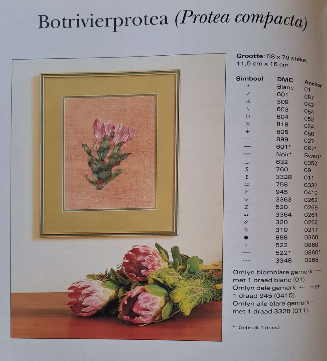Inheemse blomme in kruissteek - Roza Oberholster (paperback)