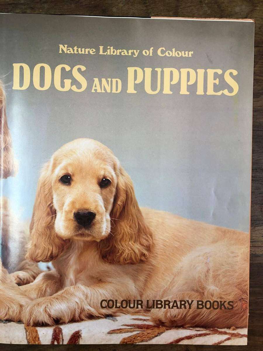 Dogs and Puppies - Colour Library Books (Hardcover with dj)
