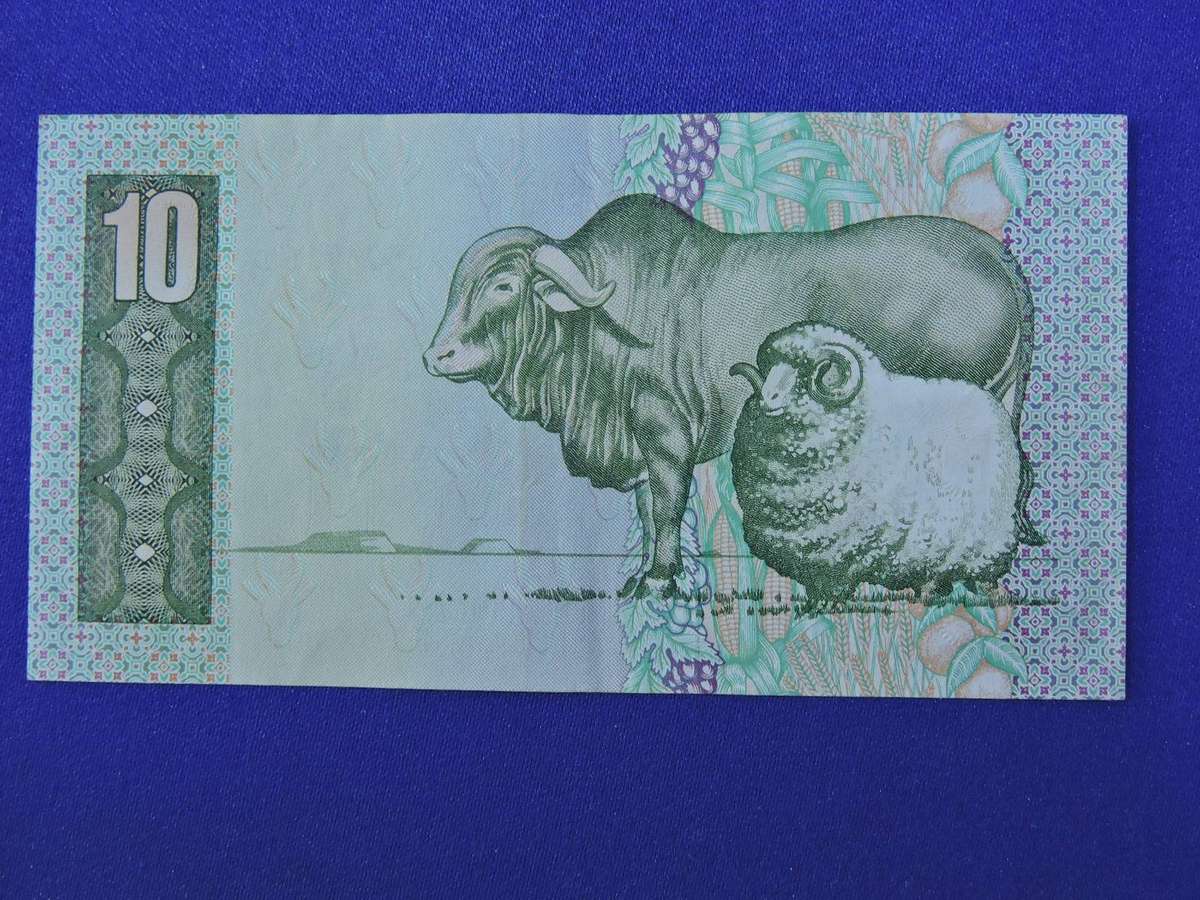 South Africa Ten Rand Tien Rand Bank Note  R10  ( REPLACEMENT NOTE Y/8 )