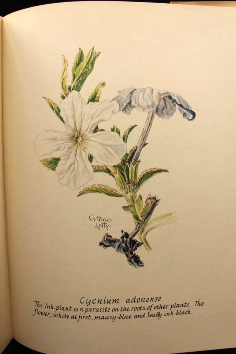 CHILDREN OF THE HOURS - CYTHNA LETTY - SIGNED