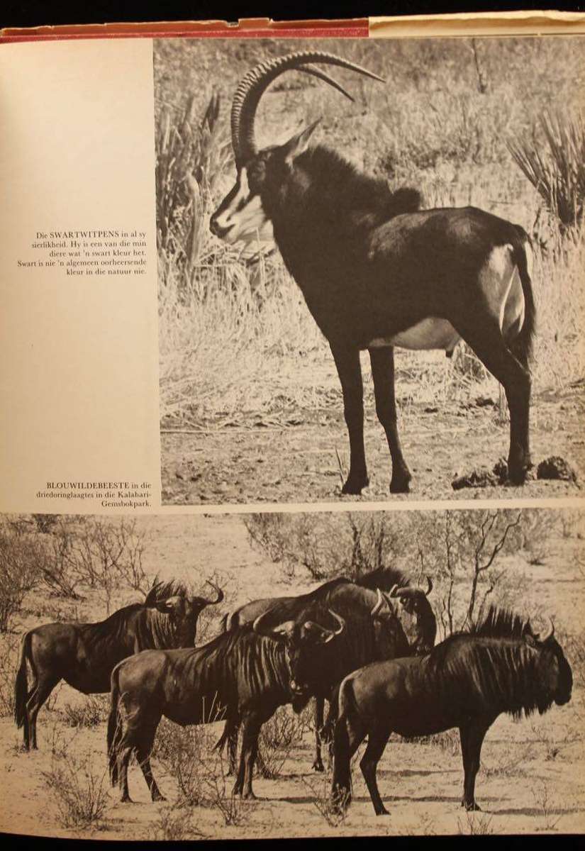 DIE KRUGERWILDTUIN EN ANDER NASIONALE PARKE - R.J. LABUSCHAGNE [1967]