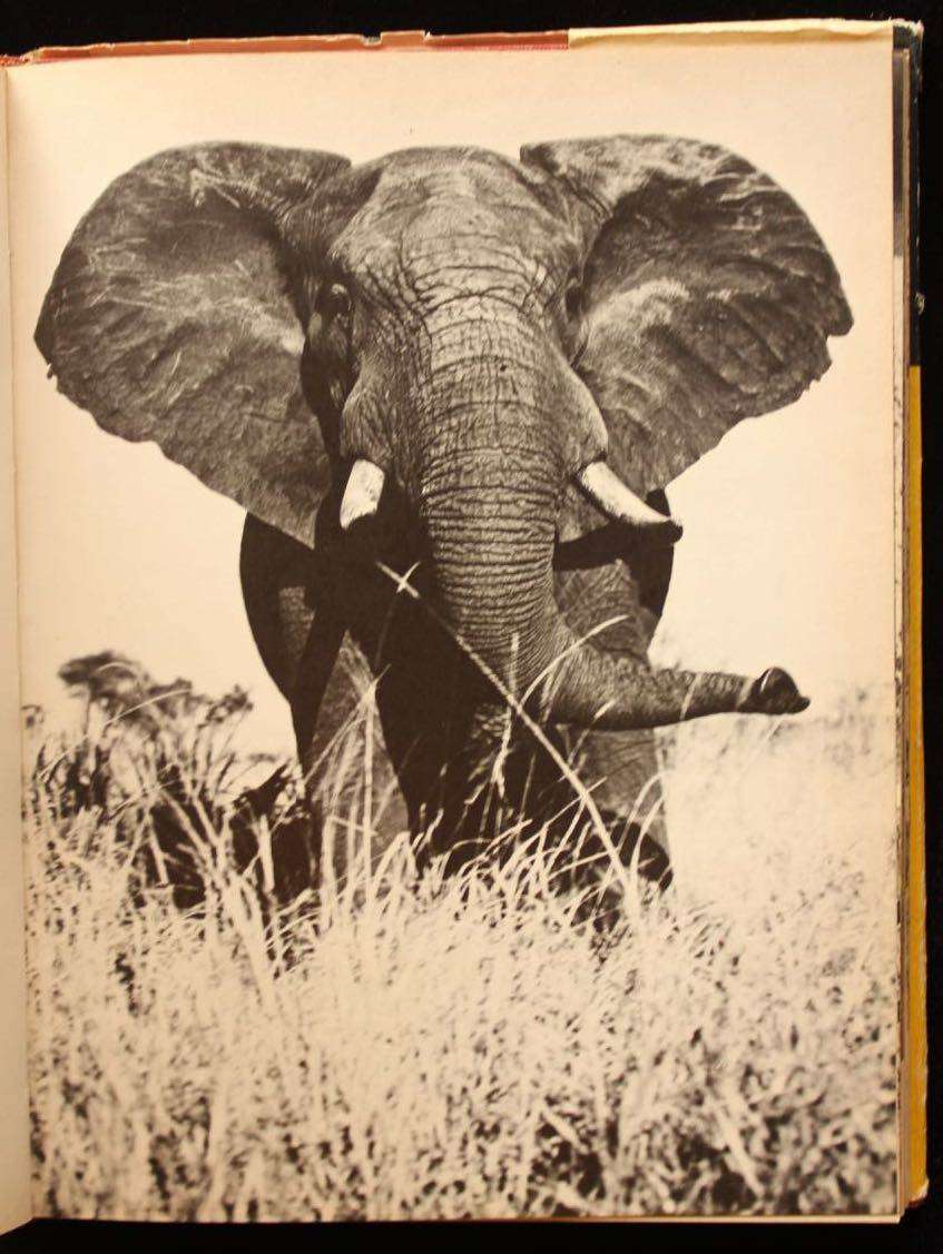 DIE KRUGERWILDTUIN EN ANDER NASIONALE PARKE - R.J. LABUSCHAGNE [1967]