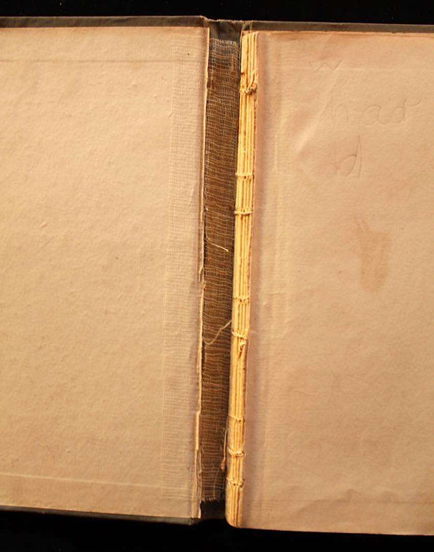 DIE DUISTERE SLUIER - T.C. PIENAAR (1934) - SKRYFSTER SE EERSTE BOEK