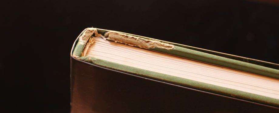 THE LIFE AND WORK OF THOMAS BAINES - JANE CARRUTHERS & MARION ARNOLD