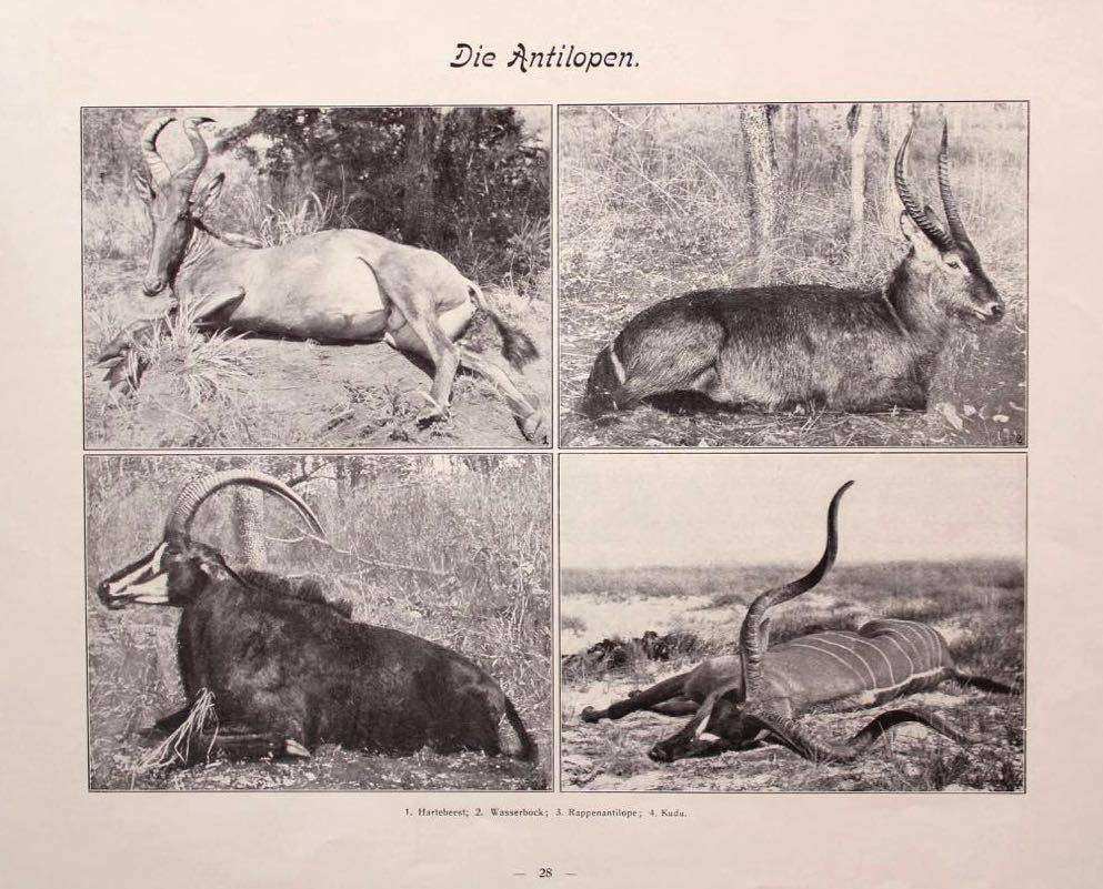 EINE REISE DURCH DIE DEUTSCHE KOLONIEN - DEUTSCH-OSTAFRIKA