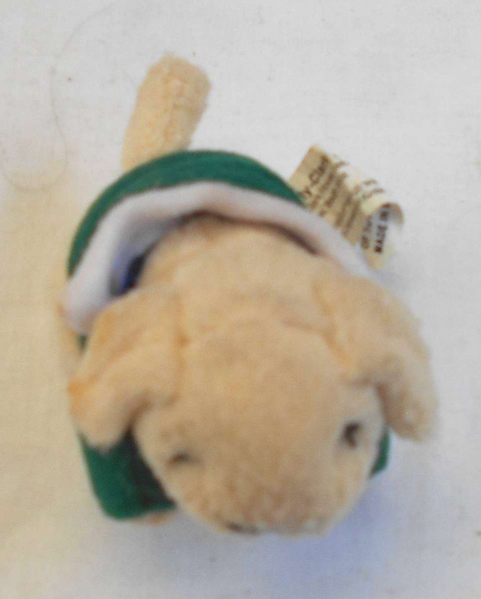 Rare SPRINGBOK "BABY SOFT" rugby player (5)