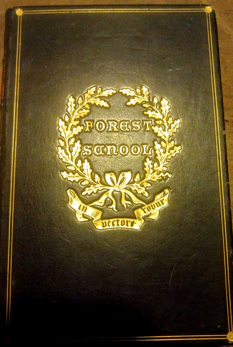 Virgil (1877) - Decorative Binding