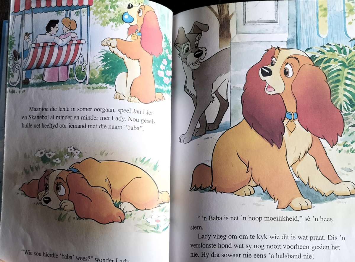 Disney se wonder wereld van lees - Lady en die vabond (1993)  - hardeband