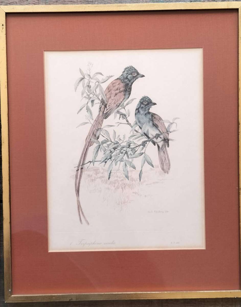 Vintage framed Dick Findlay print (1959) - Bird