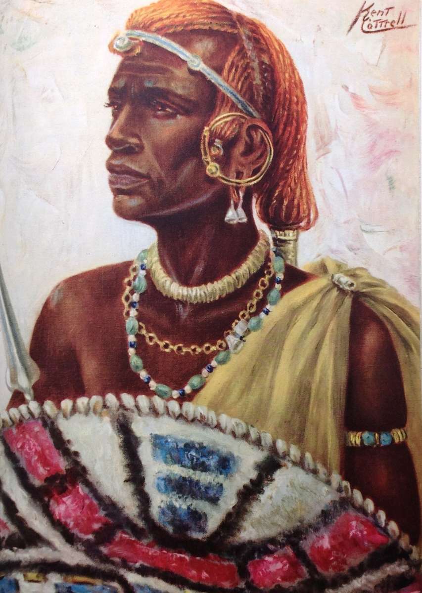 Sunburnt Africa - Kent Cottrell - Hardcover