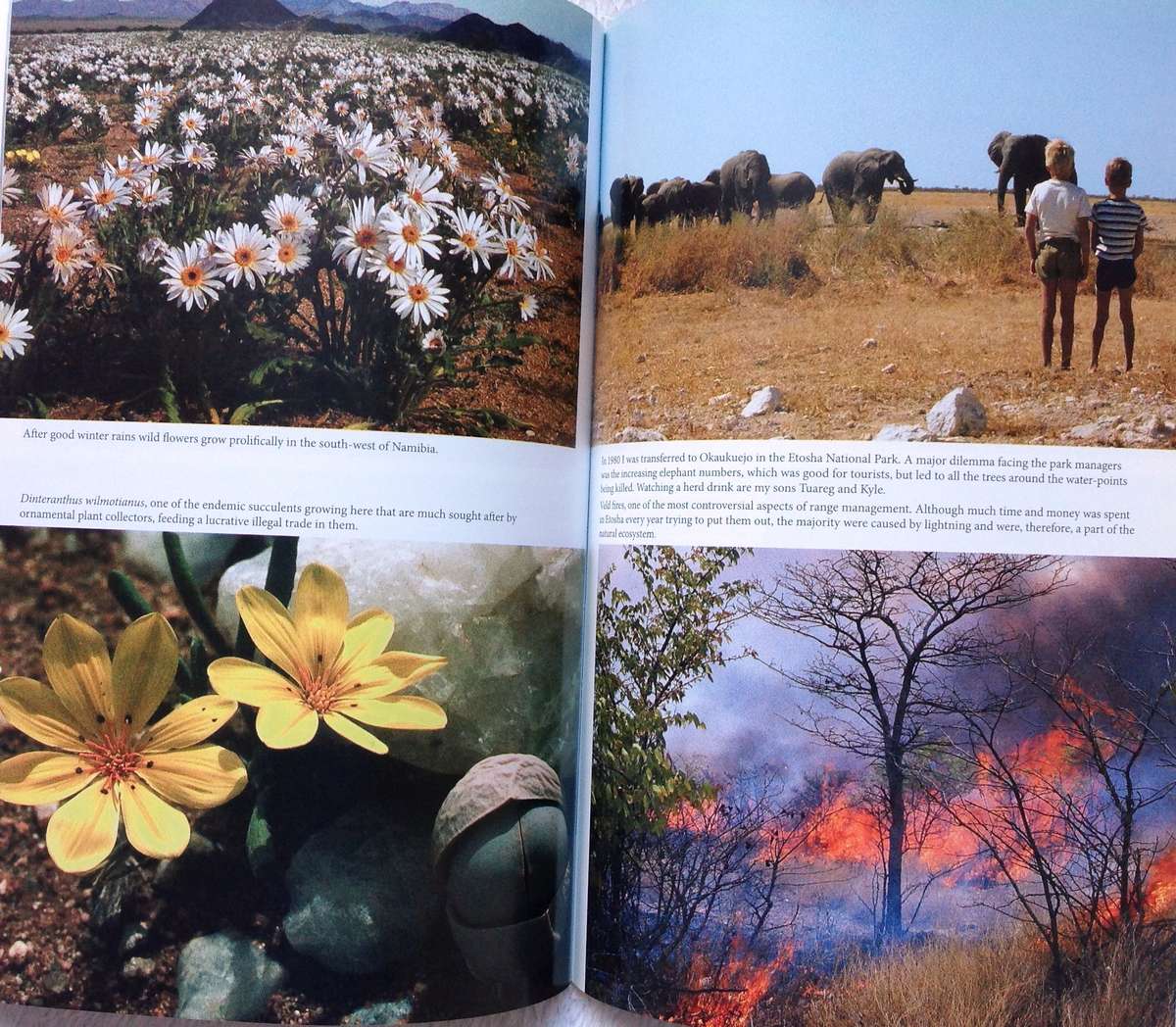 An Arid Eden - A Personal Account of Conservation in the Kaokoveld - Garth Owen-Smith