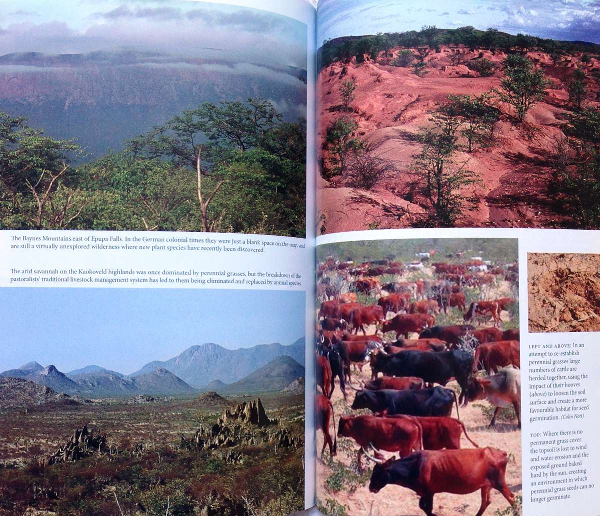 An Arid Eden - A Personal Account of Conservation in the Kaokoveld - Garth Owen-Smith