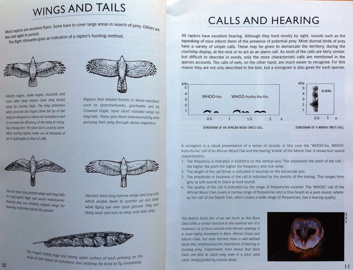 RAPTOR Identification Guide for Southern Africa - Ulrich Oberprieler and Burger Cillie