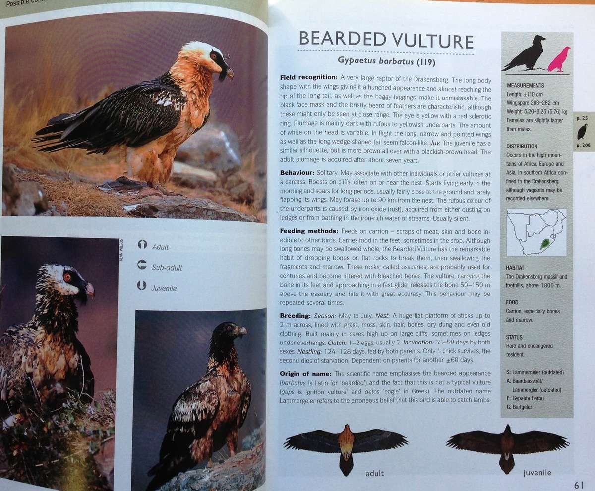 RAPTOR Identification Guide for Southern Africa - Ulrich Oberprieler and Burger Cillie