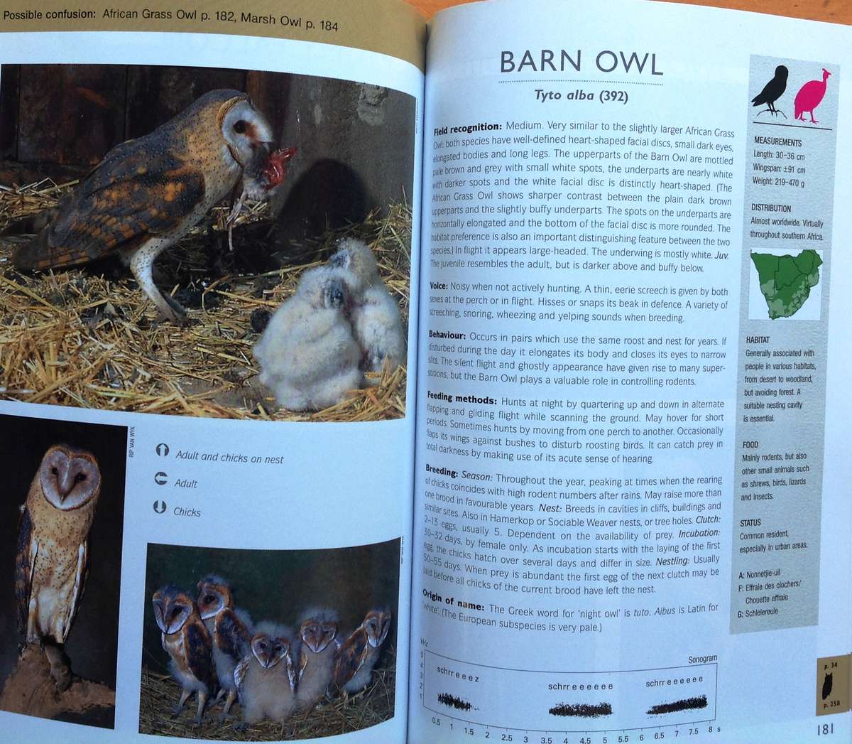 RAPTOR Identification Guide for Southern Africa - Ulrich Oberprieler and Burger Cillie