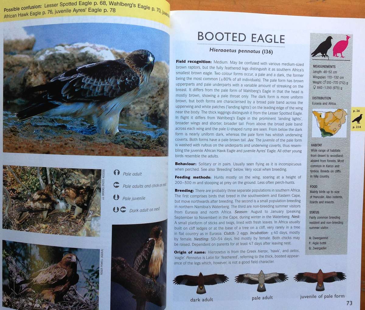 RAPTOR Identification Guide for Southern Africa - Ulrich Oberprieler and Burger Cillie