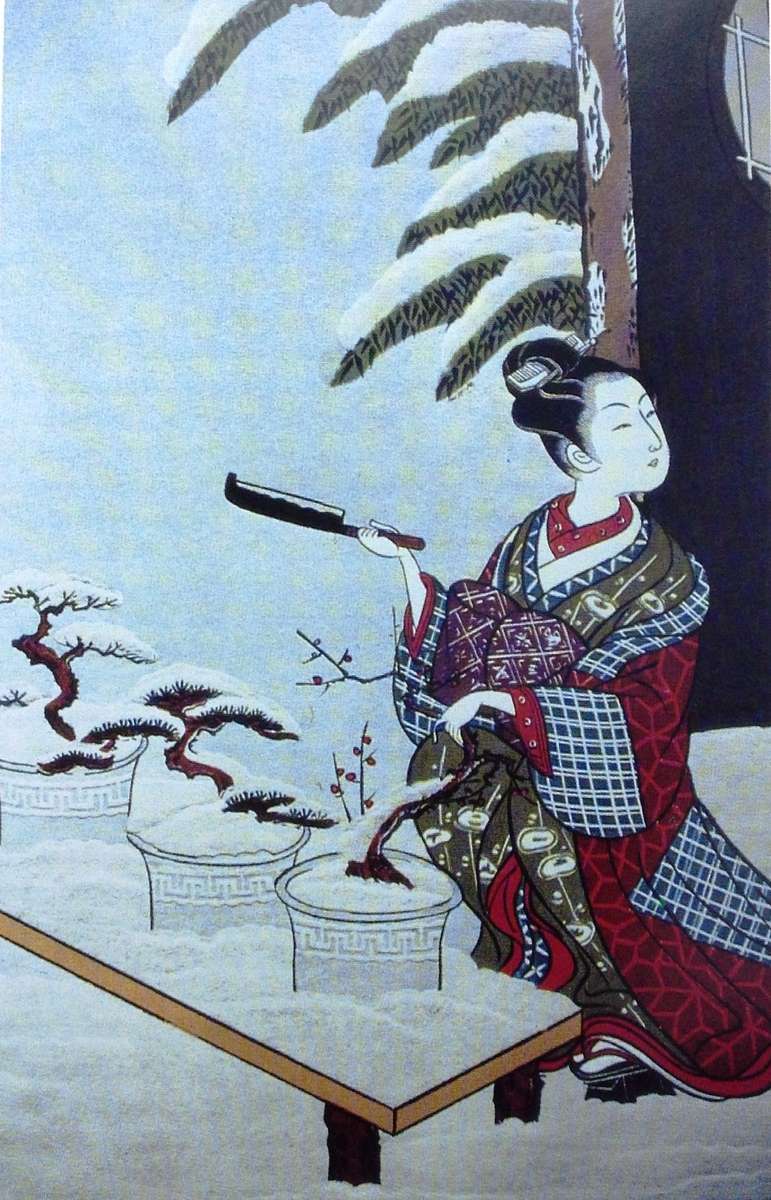 Practical Bonsai - their care, cultivation and training - Paul Lesniewicz and Hideo Kato