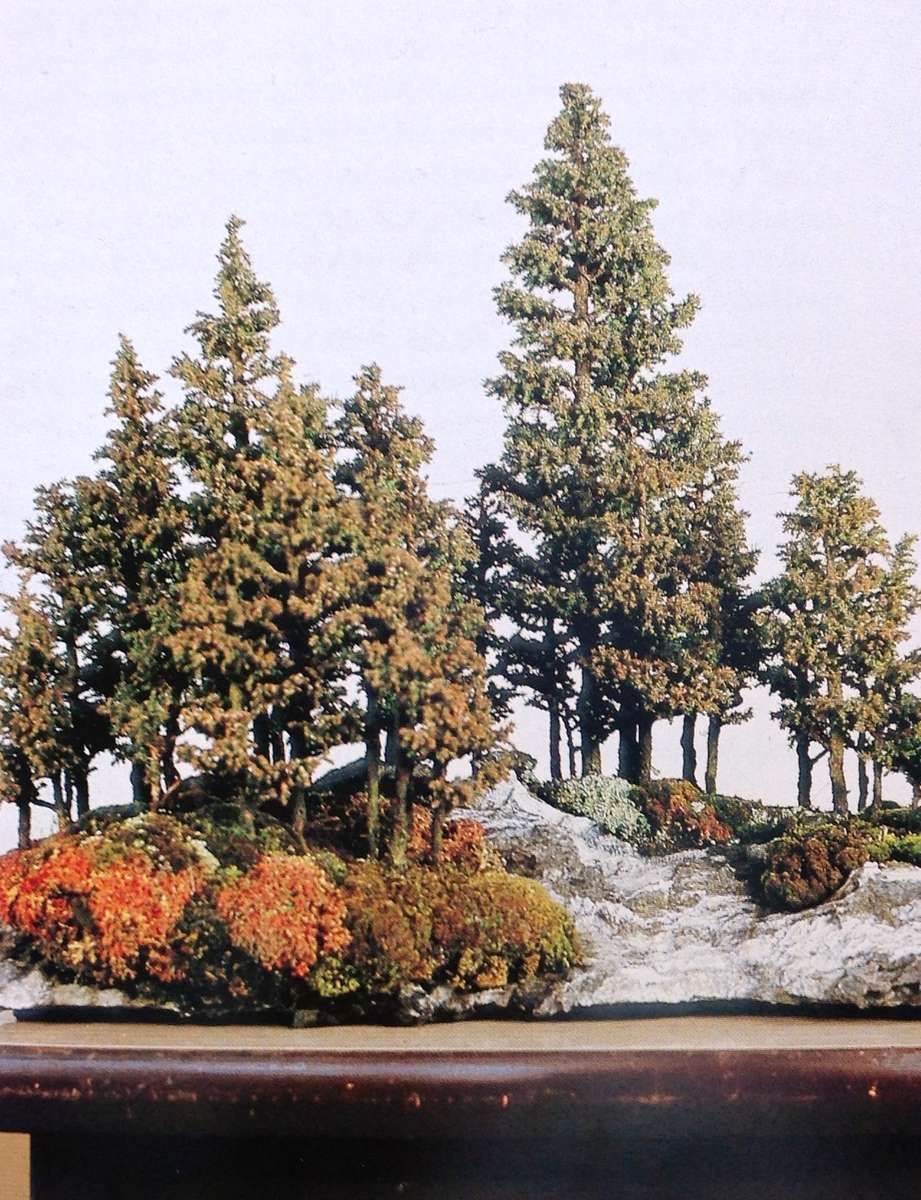 Practical Bonsai - their care, cultivation and training - Paul Lesniewicz and Hideo Kato