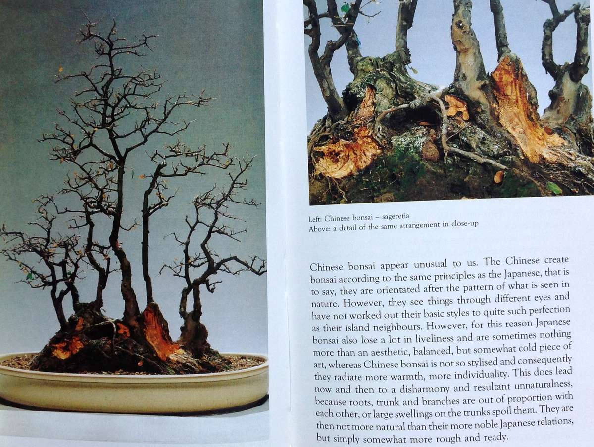 Practical Bonsai - their care, cultivation and training - Paul Lesniewicz and Hideo Kato