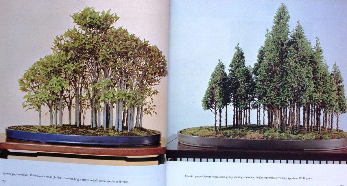 Bonsai - The Complete Guide to Art and Technique - Paul Lesniewicz - Hardcover