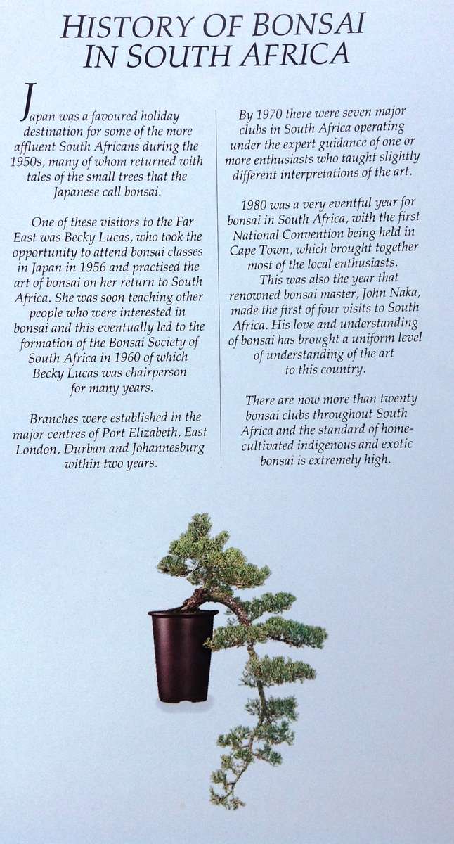 Bonsai in South Africa - The art of growing and styling bonsai - Rudi Adam - Hardcover