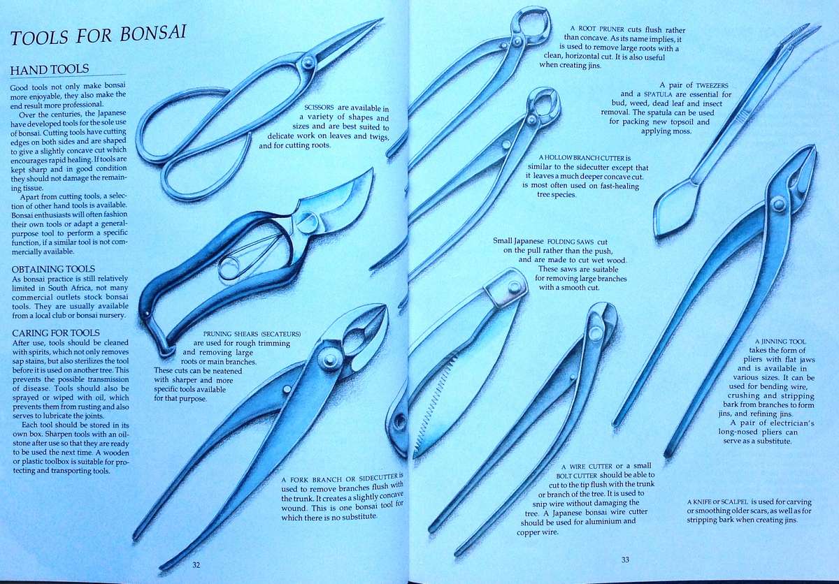 Bonsai in South Africa - The art of growing and styling bonsai - Rudi Adam - Hardcover