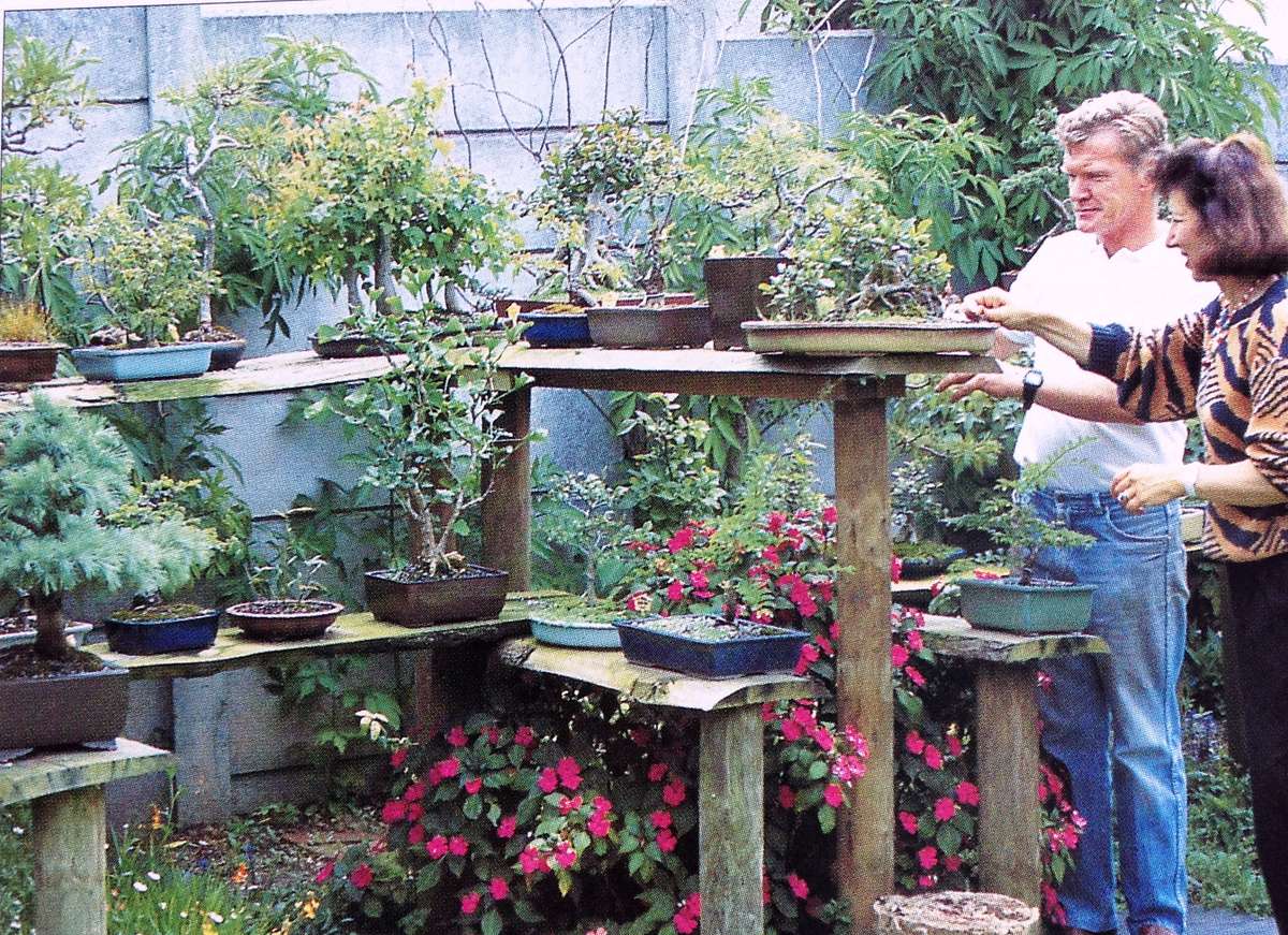 Bonsai in South Africa - The art of growing and styling bonsai - Rudi Adam - Hardcover