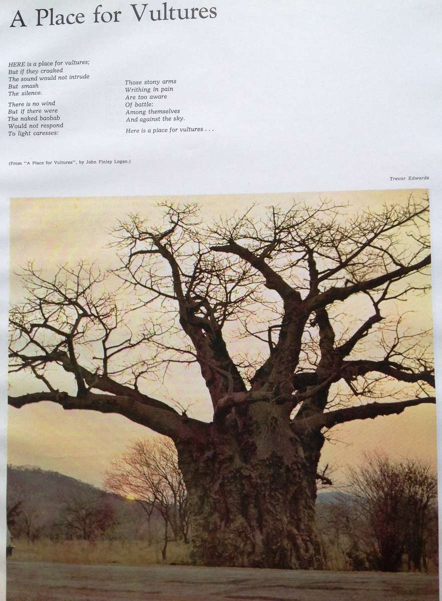 Beneath a Rhodesian Sky - Graham Publishing Company, Salisbury - Hardcover