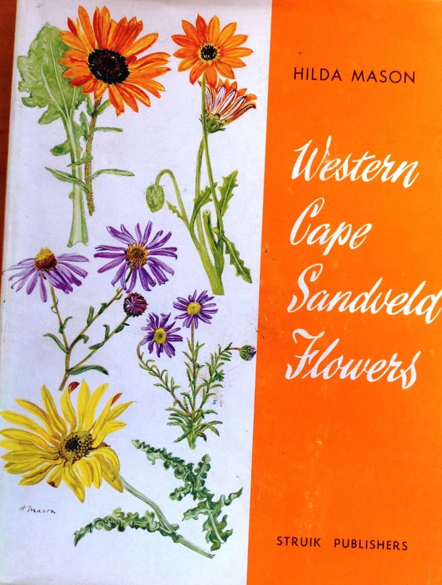 Western Cape Sandveld Flowers - Hilda Mason - Hardcover
