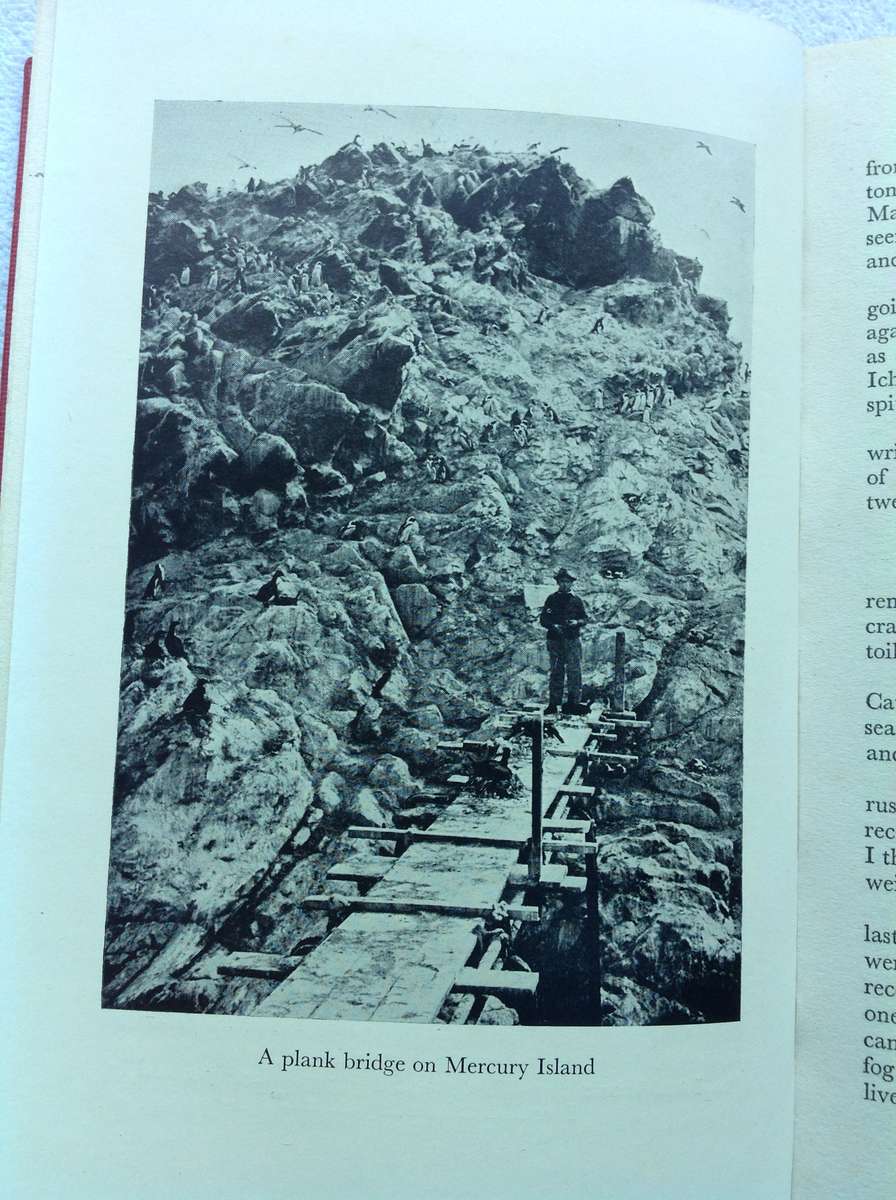 Panther Head - Lawrence G Green - Hardcover