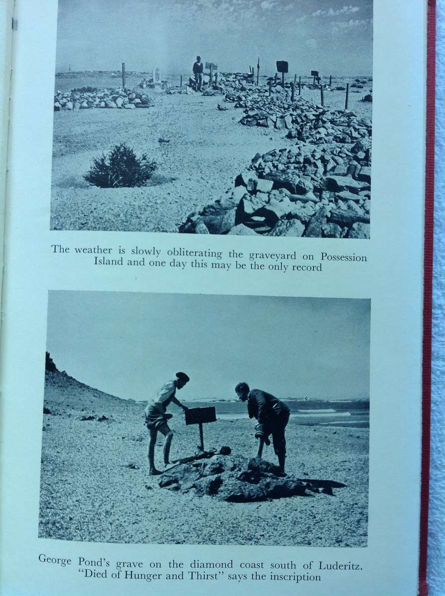 Panther Head - Lawrence G Green - Hardcover