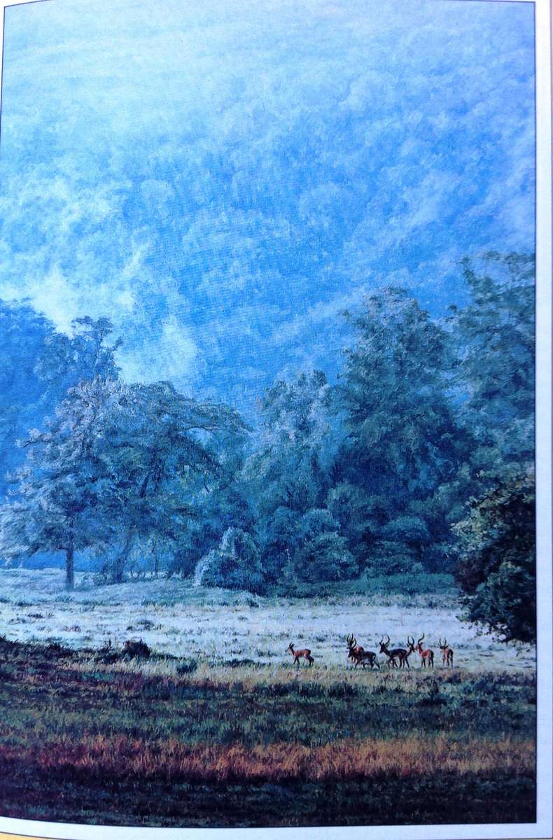 The Illustrated Out of Africa - Karen Blixen - Hardcover