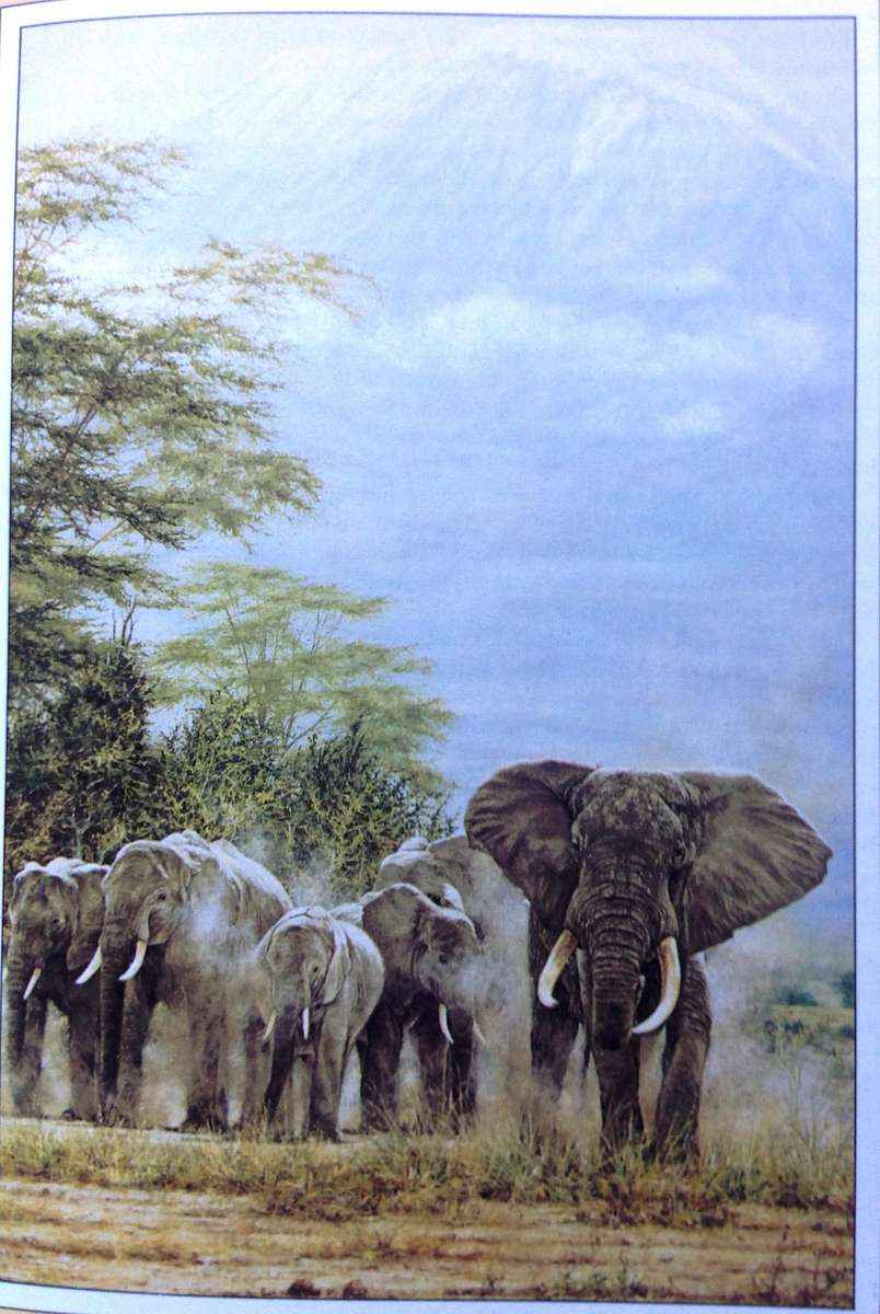The Illustrated Out of Africa - Karen Blixen - Hardcover